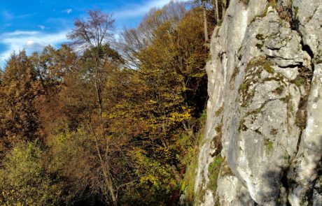 Kurs drytoolingu Vertisport - SUMMIT READY