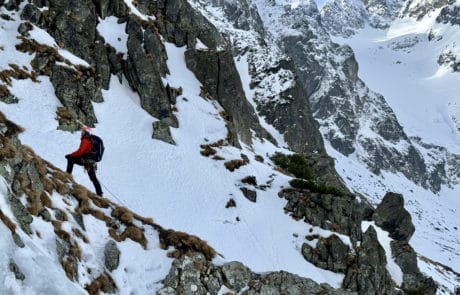 Kursy turystyki alpejskiej L2, Vertisport - SUMMIT READY
